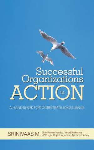 Successful Organizations in Action de Srinivaas M