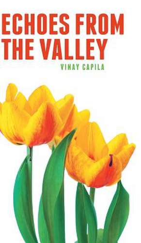 Echoes from the Valley de Vinay Capila