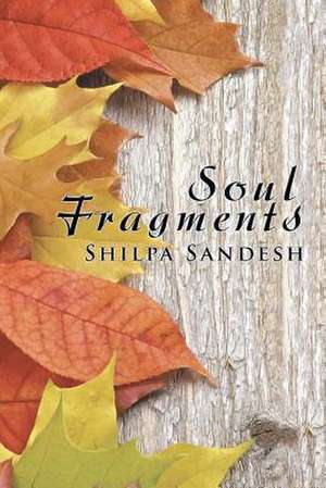 Soul Fragments de Shilpa Sandesh