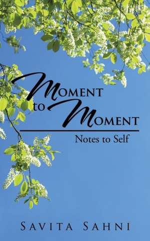 Moment to Moment de Savita Sahni