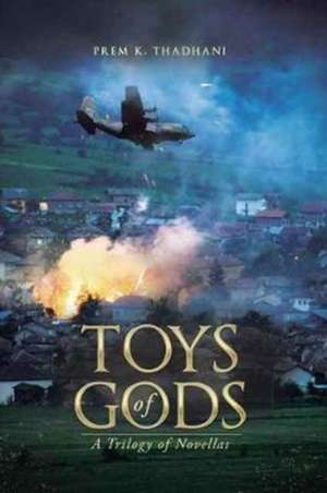 Toys of Gods de Prem K. Thadhani