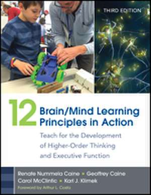 12 Brain/Mind Learning Principles in Action: Teach for the Development of Higher-Order Thinking and Executive Function de Renate Nummela Caine