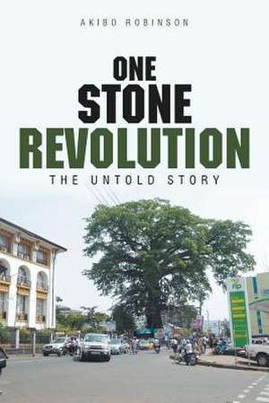 One Stone Revolution de Akibo Robinson