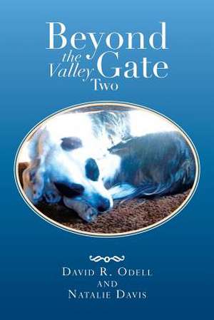 Beyond the Valley Gate Two de David R. Odell