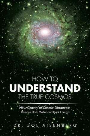 How to Understand the True Cosmos de Sol Aisenberg