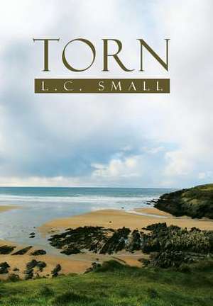 Torn de L. C. Small