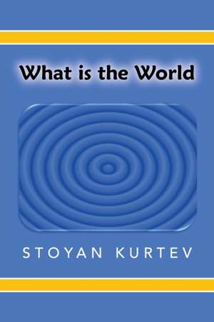 What Is the World de Stoyan Kurtev