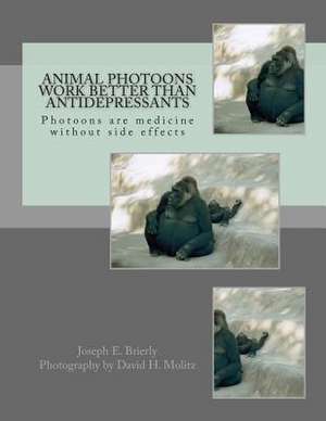 Animal Photoons Work Better Than Antidepressants de Brierly Ph. D., Dr Joseph E.