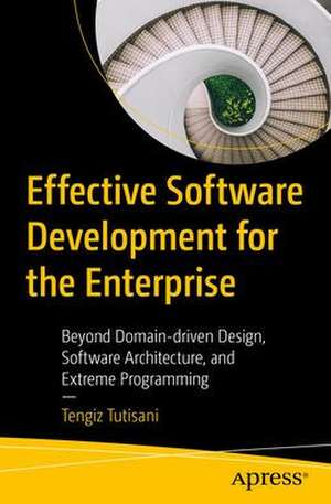 Effective Software Development for the Enterprise: Beyond Domain Driven Design, Software Architecture, and Extreme Programming de Tengiz Tutisani