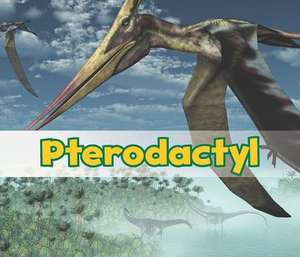 Pterodactyl de Daniel Nunn