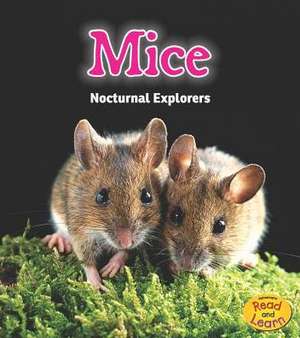 Mice: Nocturnal Explorers de Rebecca Rissman