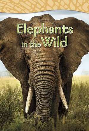 Elephants in the Wild de Claire Robinson