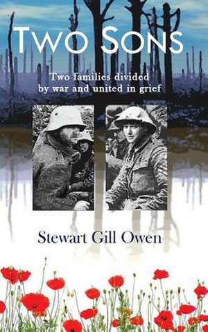 Two Sons de Stewart Gill Owen