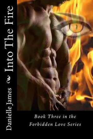 Into the Fire de Danielle James