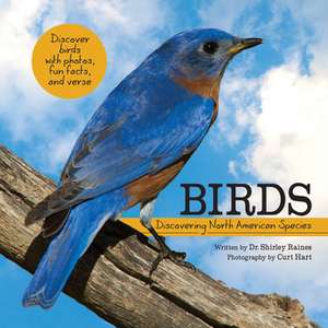 Birds de Shirley Raines