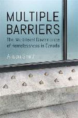 Multiple Barriers de Alison Smith