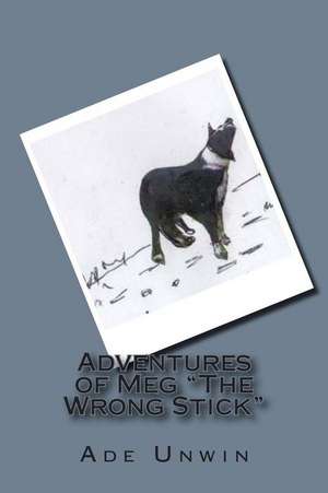 Adventures of Meg the Wrong Stick de Ade Unwin