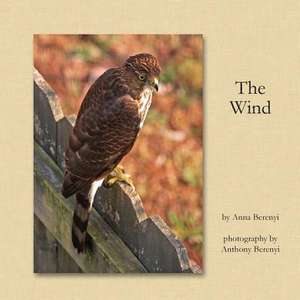 The Wind de Anna Berenyi