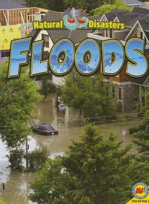 Floods de Jennifer Howse