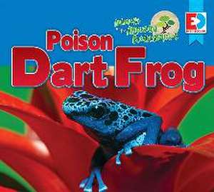 Animals of the Amazon Rainforest: Poison Dart Frog de Katie Gillespie