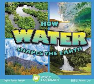 How Water Shapes the Earth de Jared Siemens