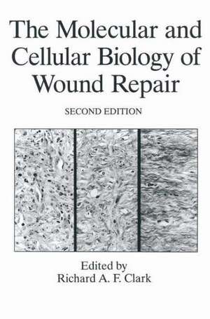 The Molecular and Cellular Biology of Wound Repair de R.A.F. Clark