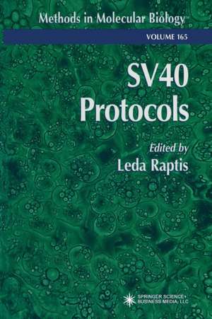 SV40 Protocols de Leda Raptis