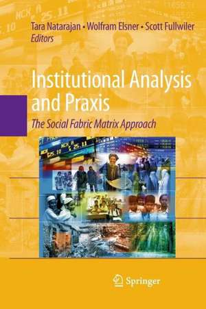 Institutional Analysis and Praxis: The Social Fabric Matrix Approach de Tara Natarajan