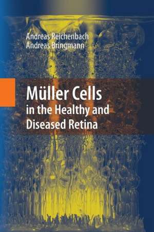 Müller Cells in the Healthy and Diseased Retina de Andreas Reichenbach