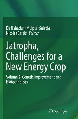 Jatropha, Challenges for a New Energy Crop: Volume 2: Genetic Improvement and Biotechnology de Bir Bahadur