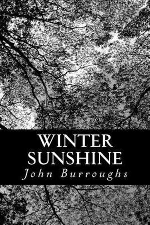 Winter Sunshine de John Burroughs