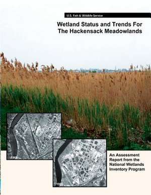 Wetland Status and Trends for the Hackensack Meadowlands de R. W. Tiner