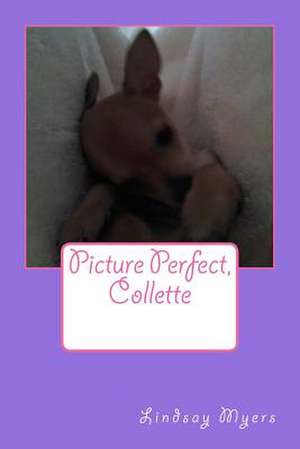 Picture Perfect, Collette de Lindsay M. Myers