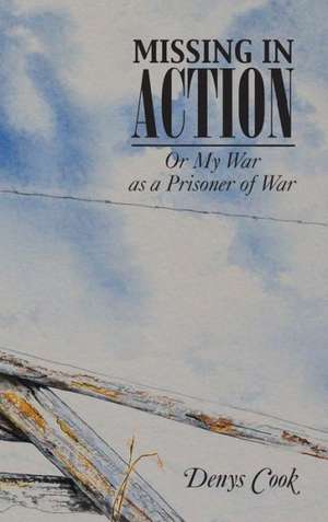 Missing in Action de Denys Cook