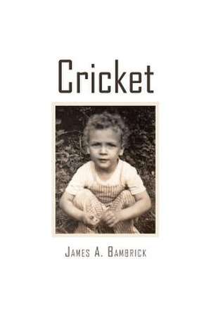 Cricket de James a. Bambrick