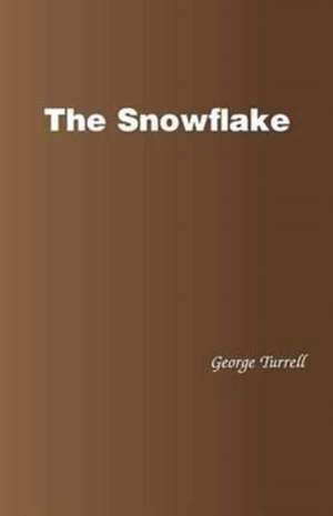 The Snowflake de George Turrell