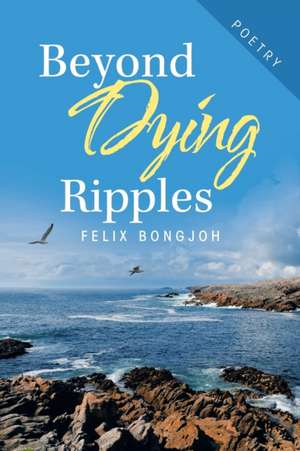 Beyond Dying Ripples de Felix Bongjoh