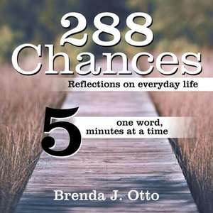 288 Chances de Brenda J. Otto