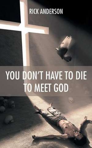 You Don't Have to Die to Meet God de Rick Anderson