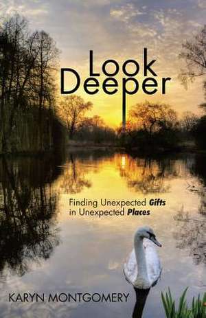 Look Deeper de Karyn Montgomery