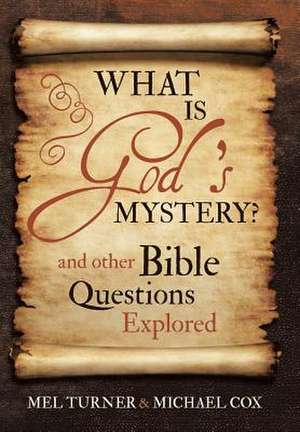 What Is God's Mystery? de Mel Turner