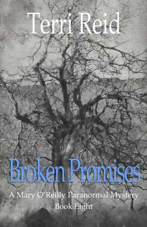 Broken Promises de Terri Reid