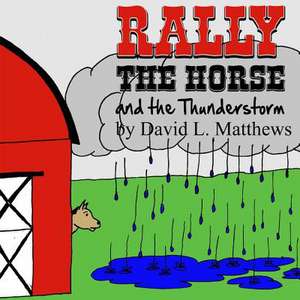 Rally the Horse and the Thunderstorm de David L. Matthews