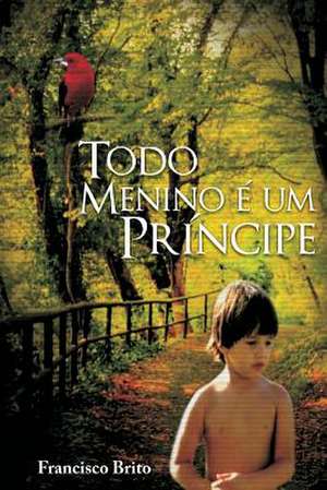 Todo Menino E Um Principe de MR Francisco De Assis Brito