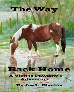 The Way Back Home de MR Joe L. Blevins