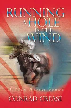 Running a Hole in the Wind de Conrad Crease