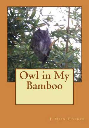 Owl in My Bamboo de J. Olin Fischer