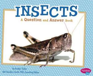 Insects: A Question and Answer Book de Isabel Martin