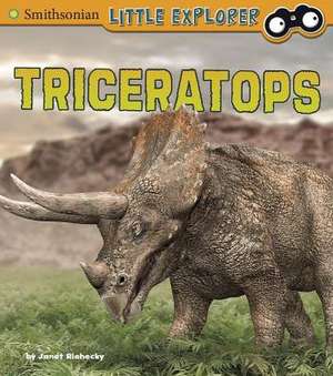 Triceratops de Janet Riehecky