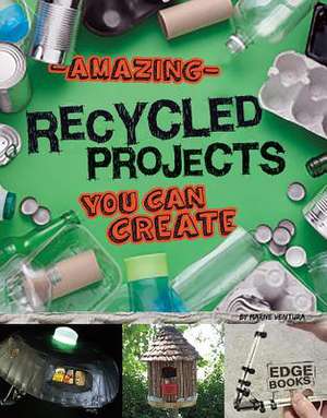 Amazing Recycled Projects You Can Create de Marne Ventura